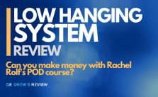 Low Hanging System Review: Rachel Rofe Course Worth it?