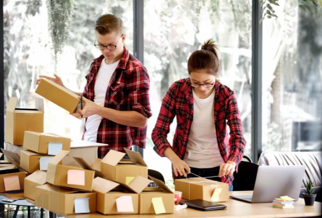 solopreneur and entrepreneur