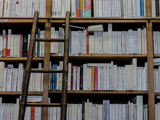 brown wooden ladder on bookshelf