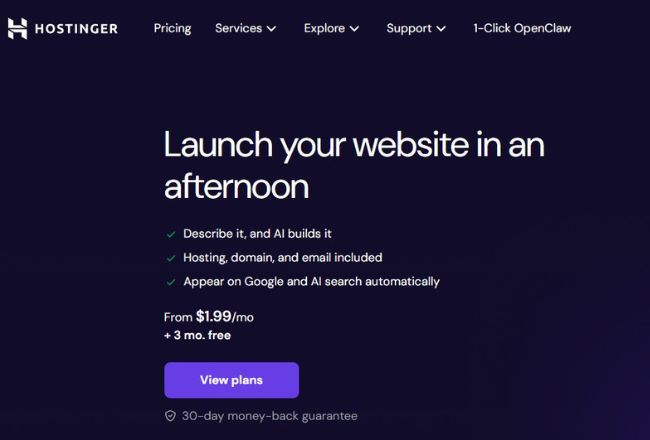 hostinger website homepage