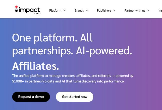 impact website homepage2