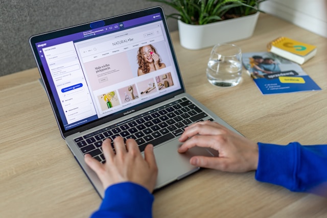 person on an ecommerce website