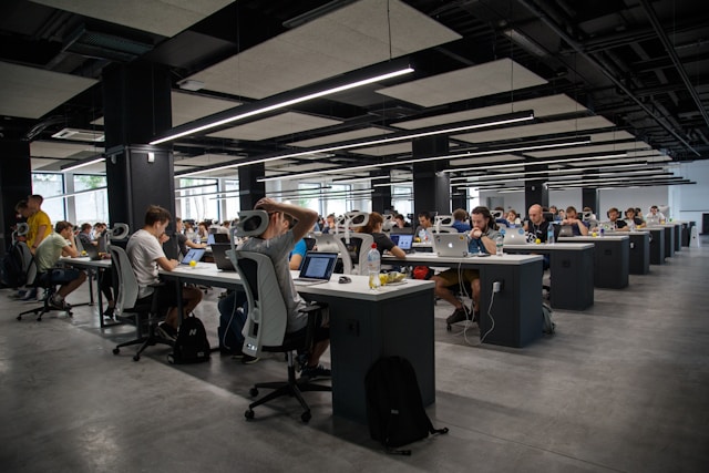 people doing office work